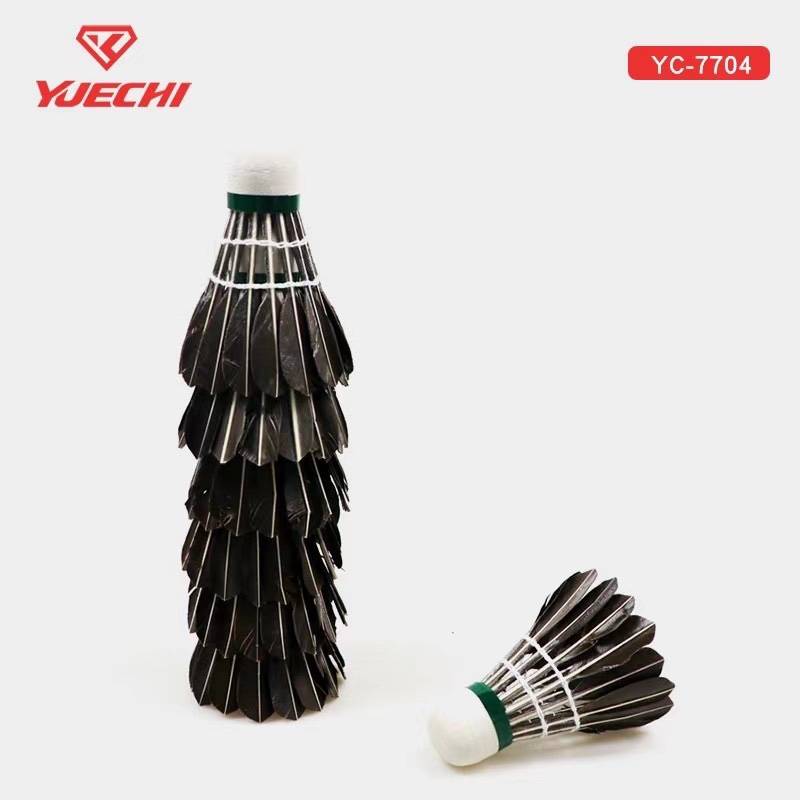 Badminton, suitable for beginners