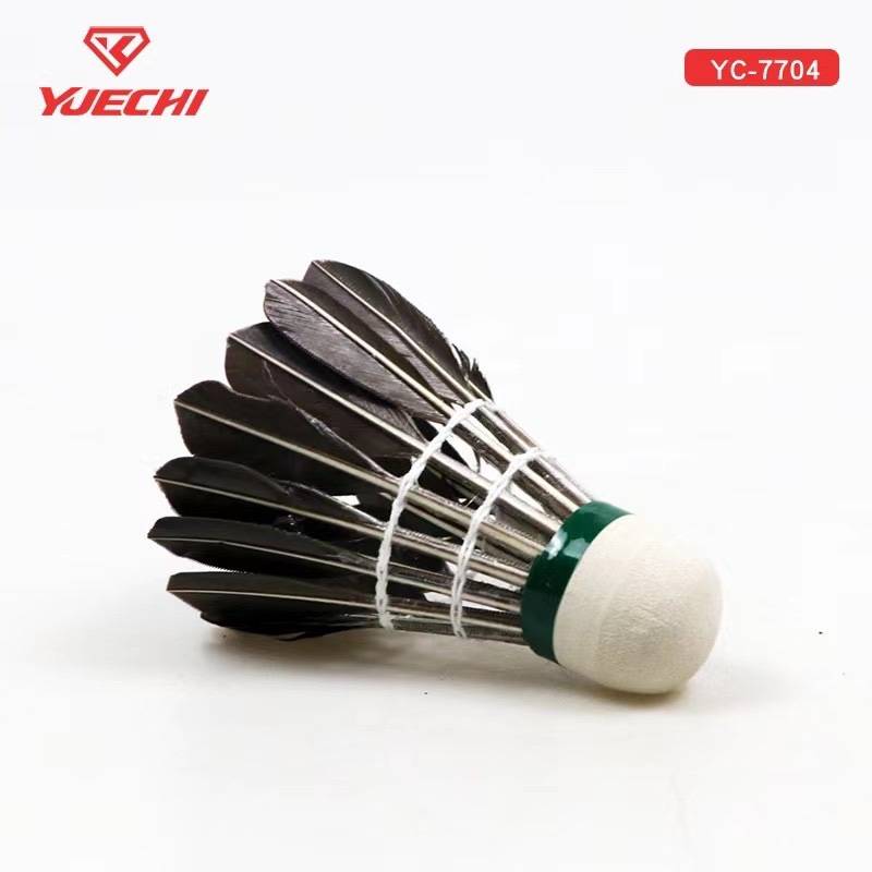 Badminton, suitable for beginners