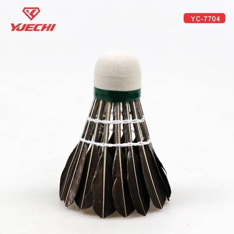 Badminton, suitable for beginners
