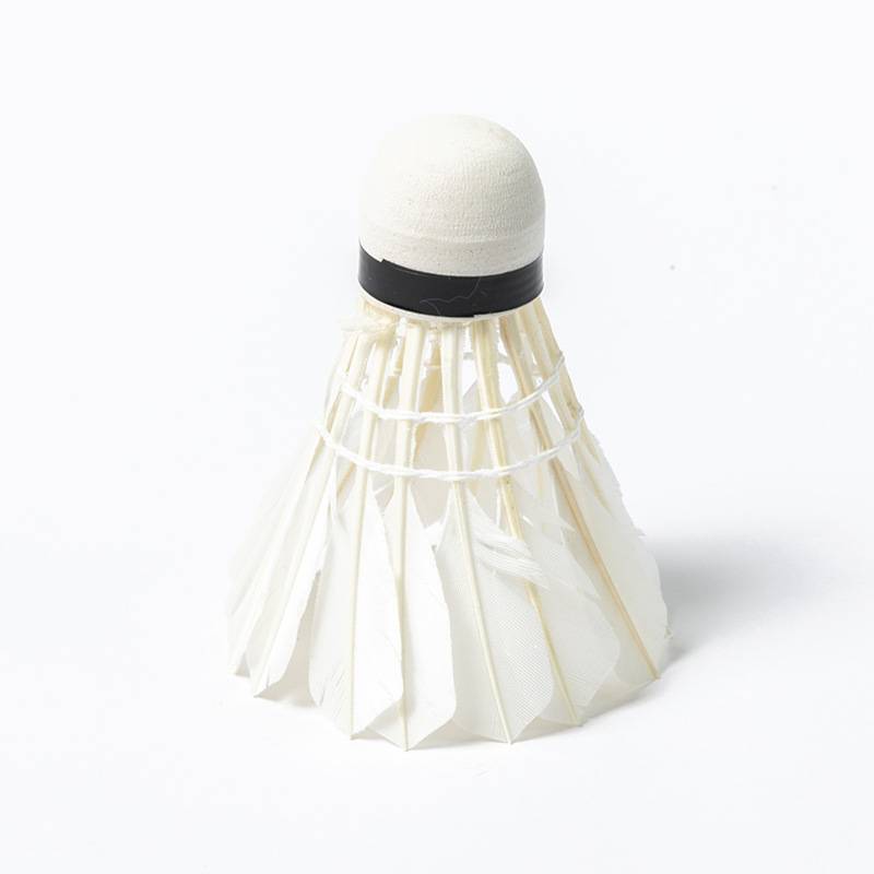 Outdoor badminton Welke badminton outdoor bomber play game training badminton 3 12 badminton