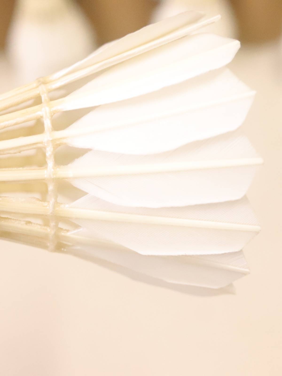 Replace the Red Super Starter Lion Dragon YY Professional Patient Stability Competition Badminton Club Training-Feather No. 7