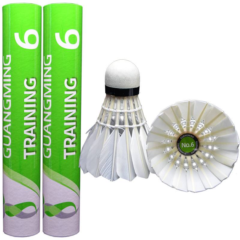 6 badminton lifetime training and outside bar