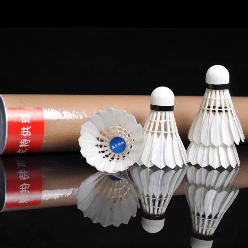 Nanjing Special Professional Badminton Sweat and Anti -slip Anti -Slip Proton Stable Stable Training Student Garden