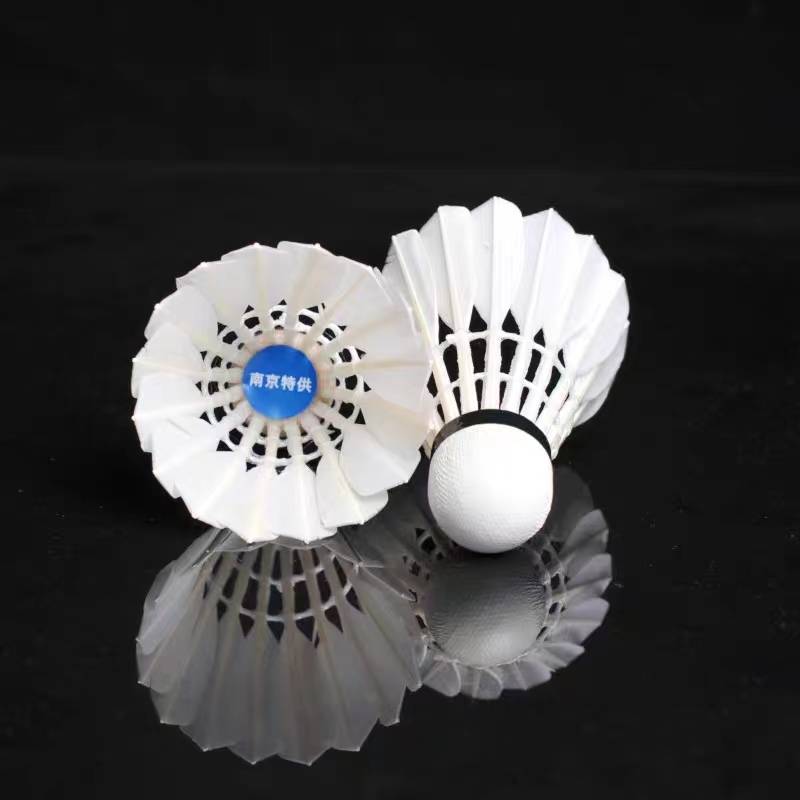 Nanjing Special Professional Badminton Sweat and Anti -slip Anti -Slip Proton Stable Stable Training Student Garden