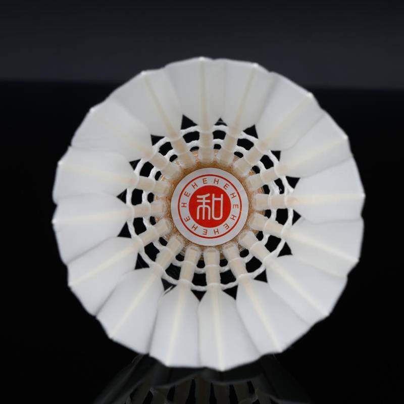 Badminton home and Shengrui duck hair play badminton indoor outdoor training professional game 12