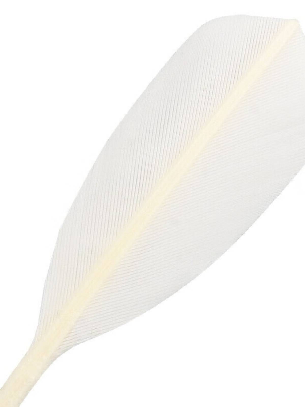 Genuine Li Ning Badminton Bai D8 Duck Ball Super Patriotic Flight Stable Game Training KS15 Goose Fir