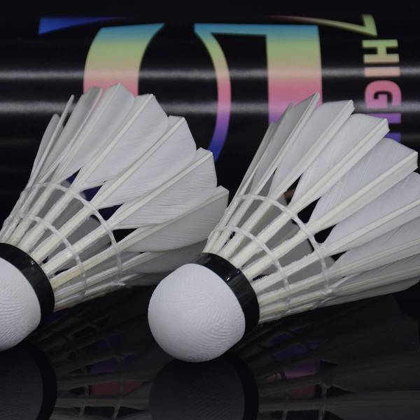 12 HIGH5 Duck Badminton Races 7 The same subjects are very important and cost-effective