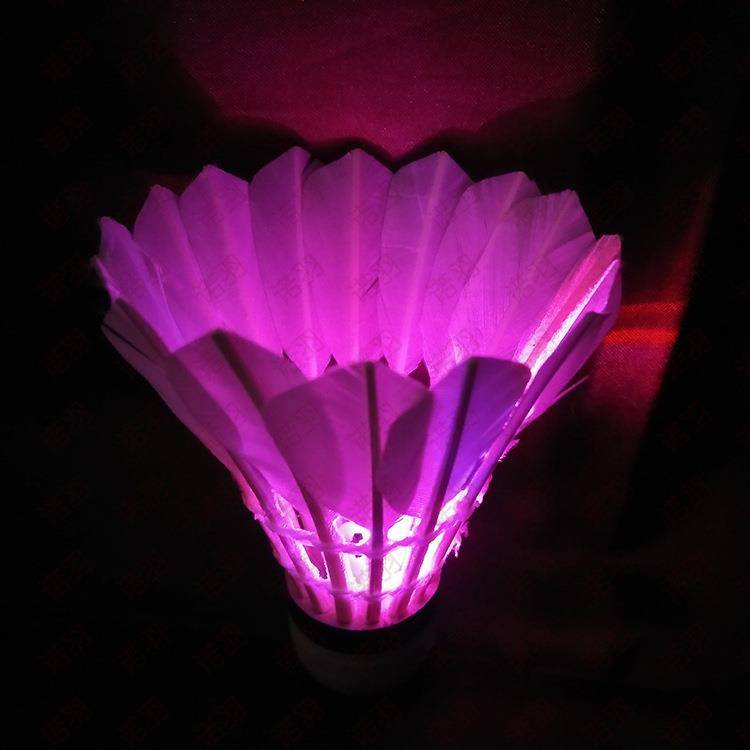 4 LED LED Light Badminton Foam Terminal (Volual Switch)