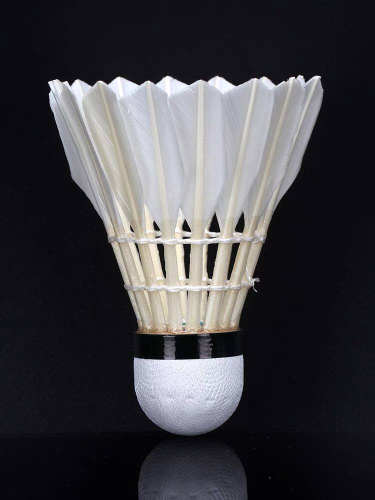 Tongmei Genuine Badminton No. 1/L301 Club Training Specialty Training Room 12 Outside and Outside