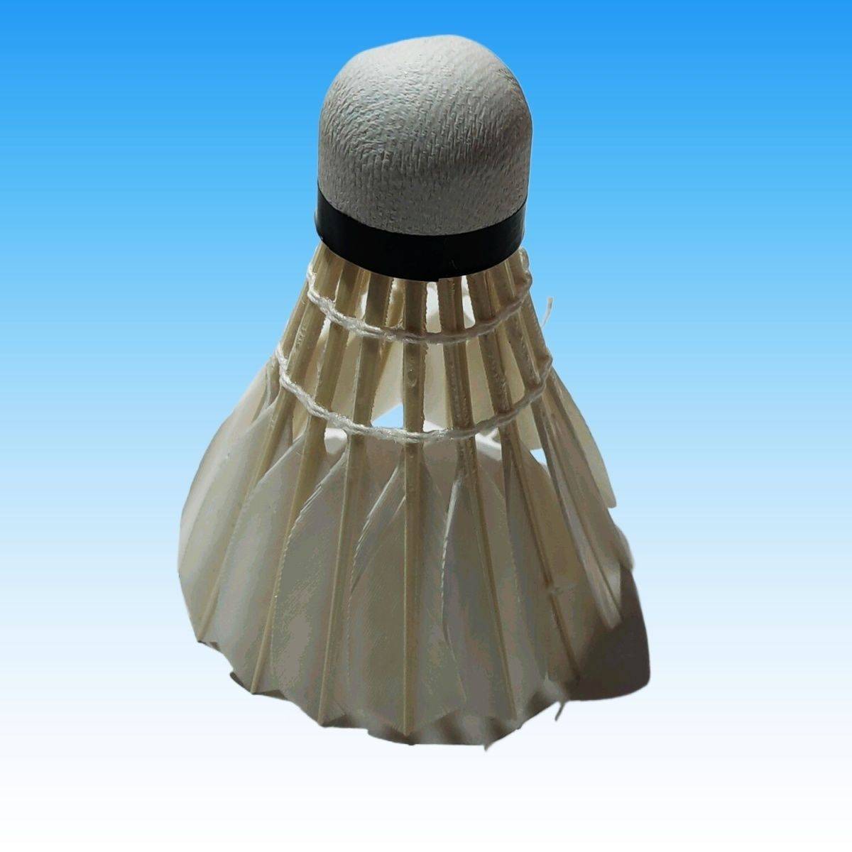  authentic Shengjie badminton 310 goose feather ball -resistant king training game