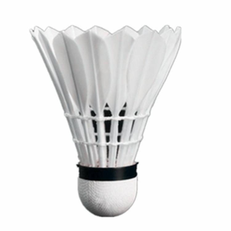 The genuine Badminton Badminton 12 is equipped with a royal indoor outdoor training. Goose hair balls are not easy to smash 6 installations