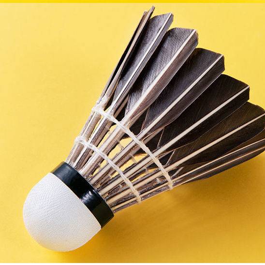 Factory Direct Selling Badminton 3 6 Only 12 Equipment Training Badminton Indoor Outdoor Sports Badminton