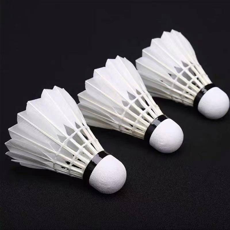 Nanga badminton 6/12 only play against king badminton indoor outdoor training game