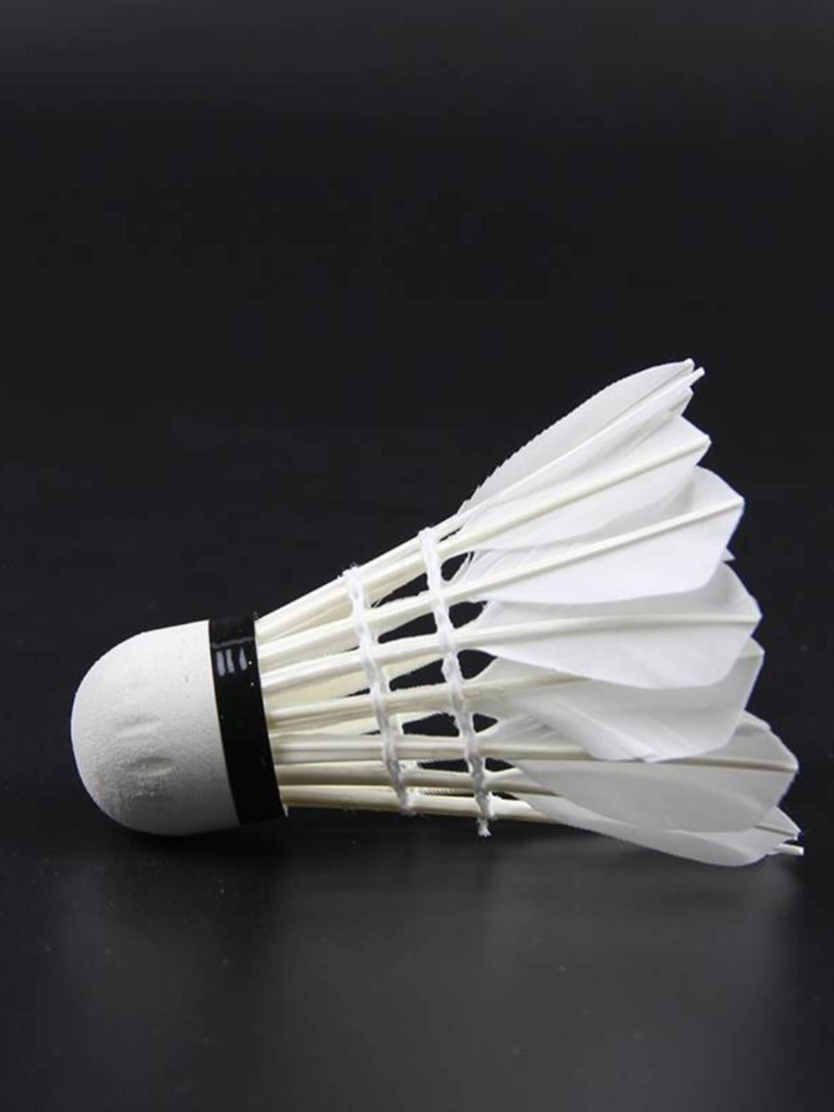 Badminton is not easy to beat the goose feather indoor outdoor game windproof training ball