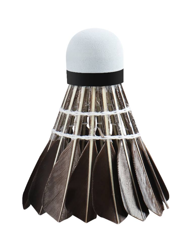 Goose hairy, black badminton balls can't beat out-of-house wind-proof 12 super-resistence training balls in a suit