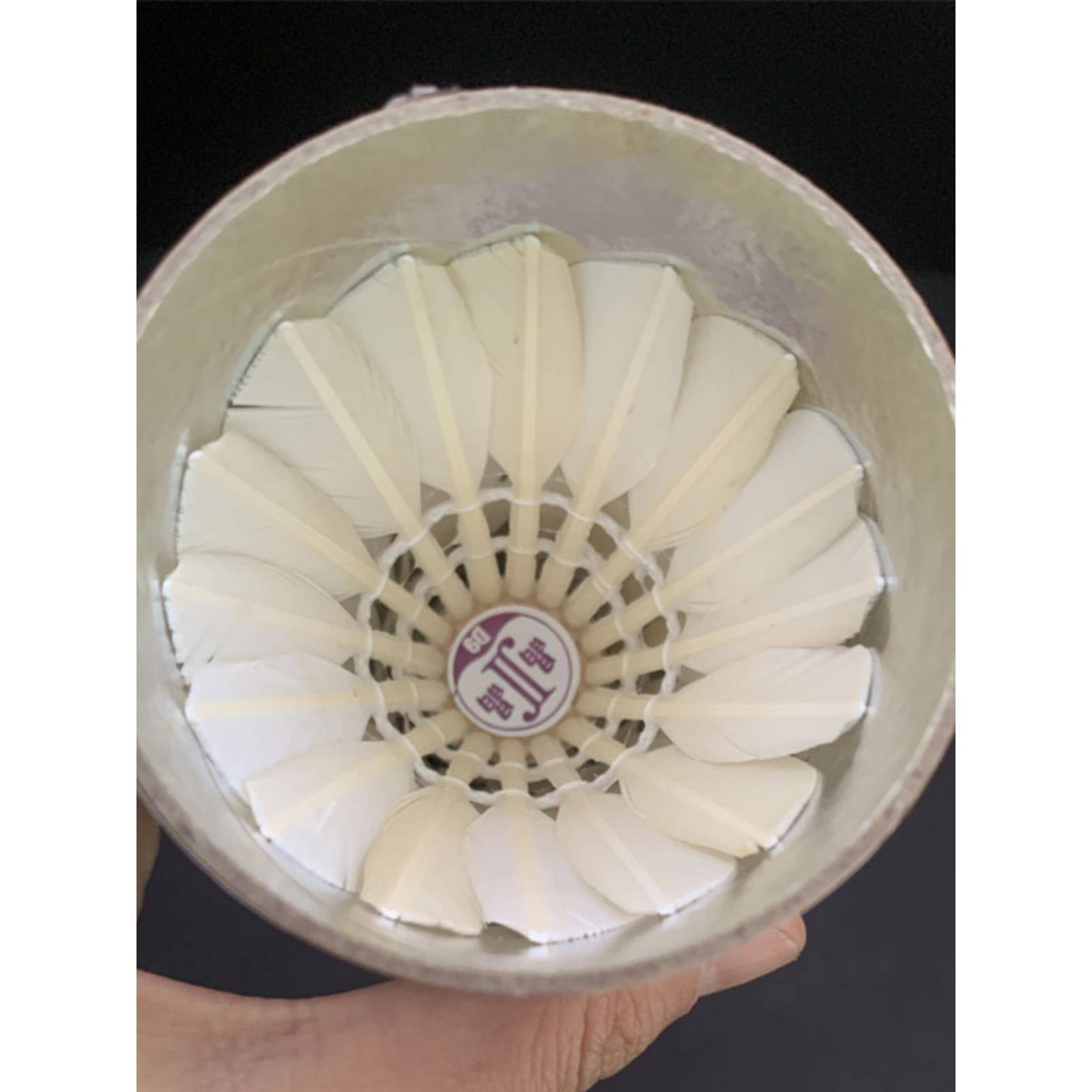 Crystal Badminton D9 Genuine is not easy to play rotten duck hair professional training for special training