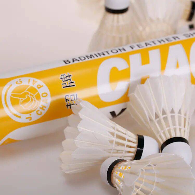 super badminton's indoors