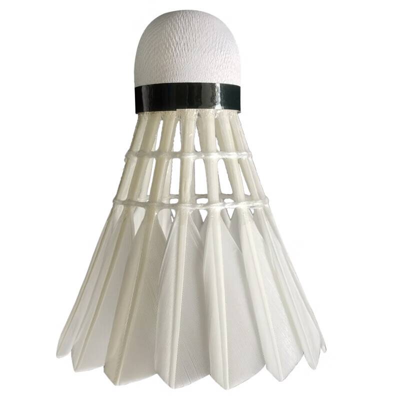 Asian Dragon RSL Ya Shilong 66/A3 Badminton micro -defect training for training is stable 77