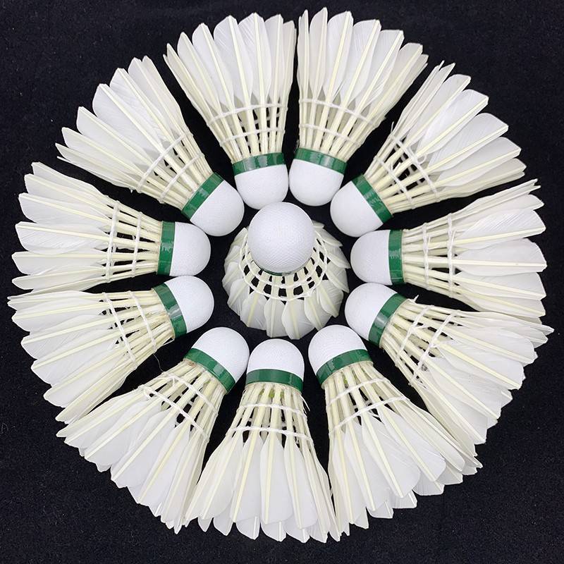 Decanon badminton, 12 badmintons for training in a game where you can't suck