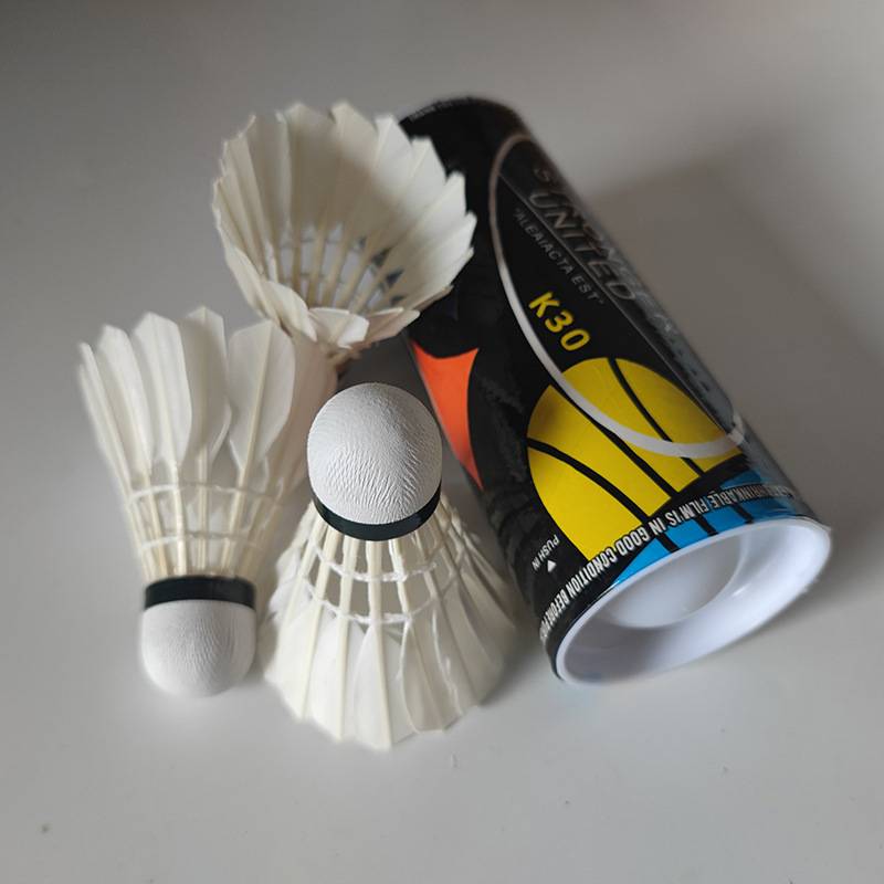 Badminton 12 pretend to play genuine products is not easy to break the goose feather indoor outdoor game windproof training 6