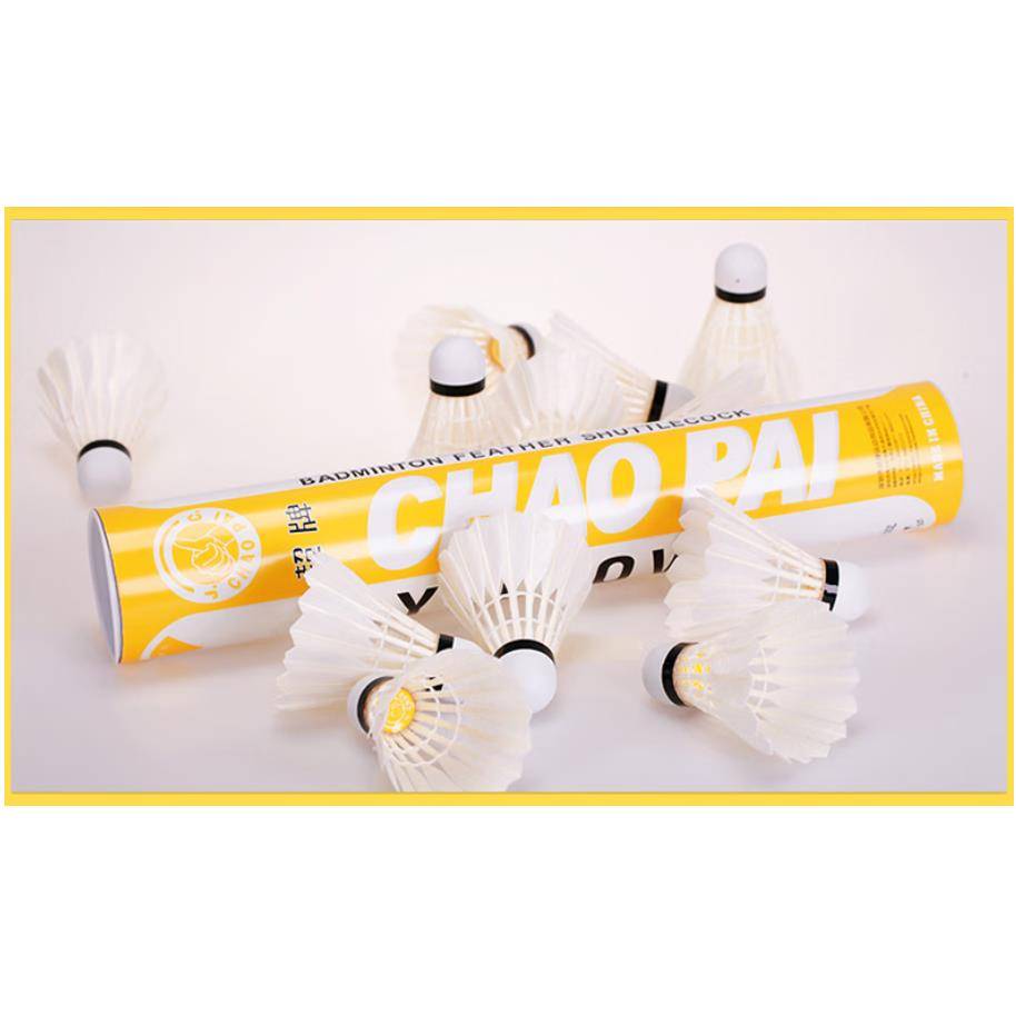 Super yellow, super bad-minton, 12-year-olds in a training room