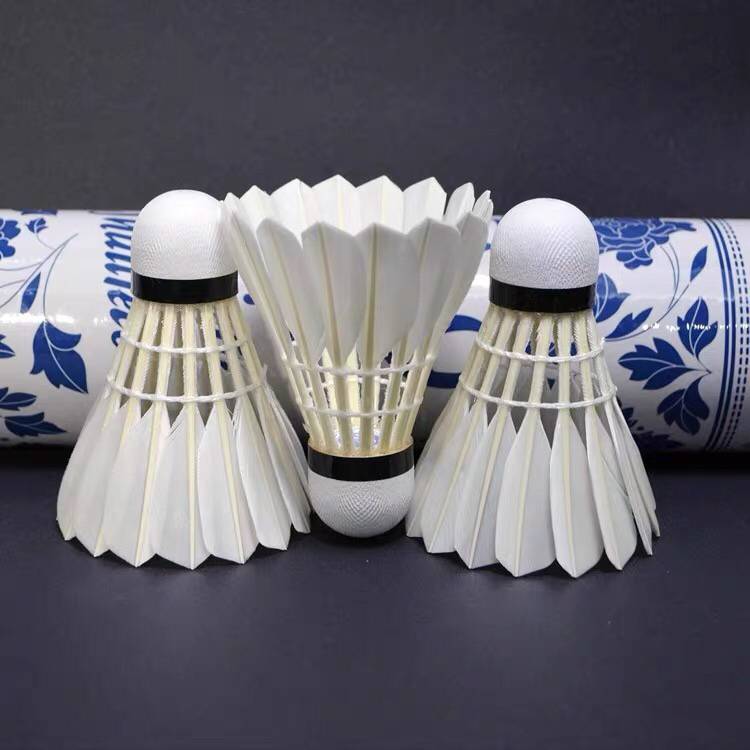 Hybrid and fighting competition school training coach with ball multi-ball teaching Asian dragon badminton A9-A10 selection