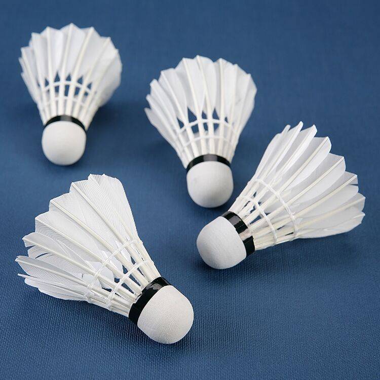 Zhejiang Yanyan badminton new modeling business learning Student entertainment training duck, genuine  badminton badminton