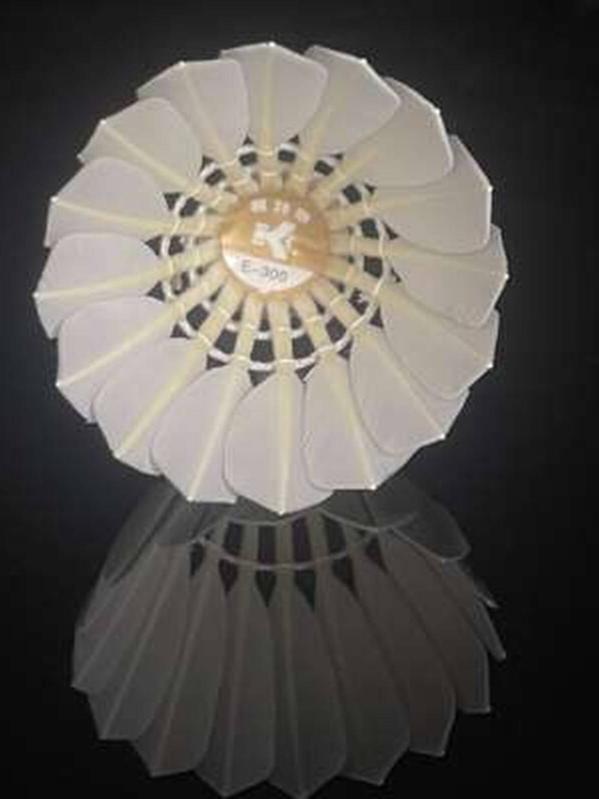 True Kate badminton goose hair ball E300 E600 flying flight stable training competition 12 outfits