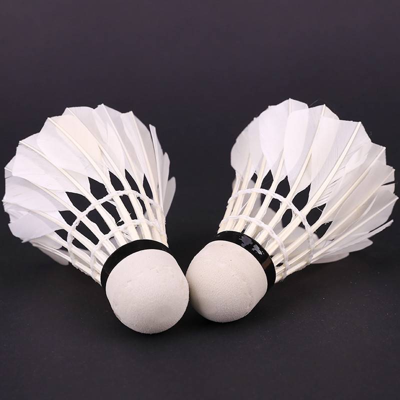 Naili SA535 Badminton Training Student Beginner Playing Badminton 12 Goose Fur balls