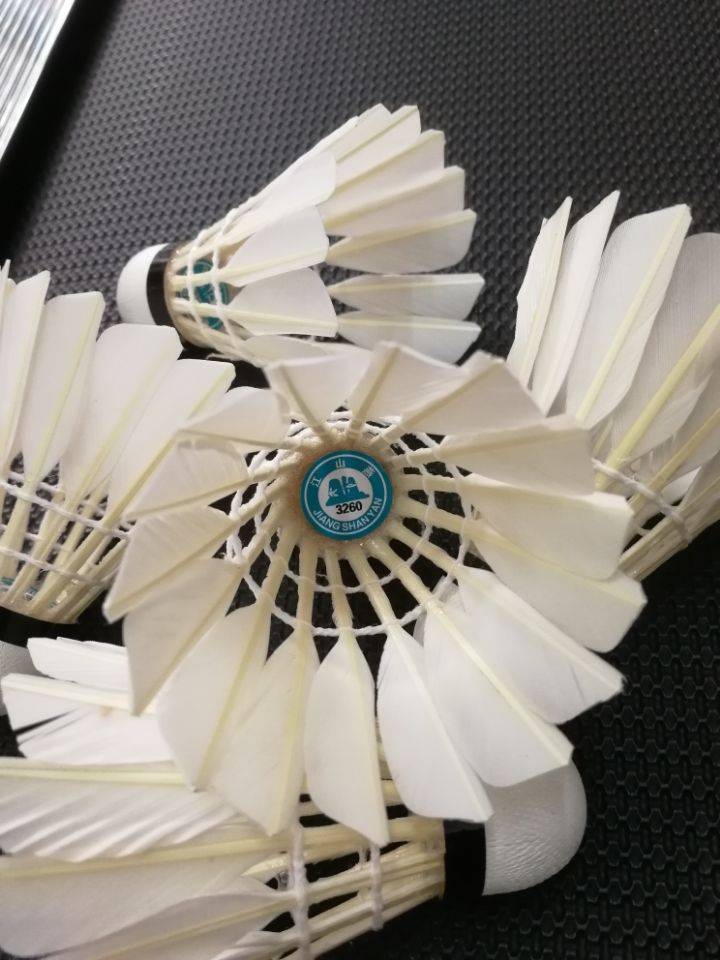 Genuine Jiangyan 3260 Badminton Playing Training Competition 12 Special Badminton 12