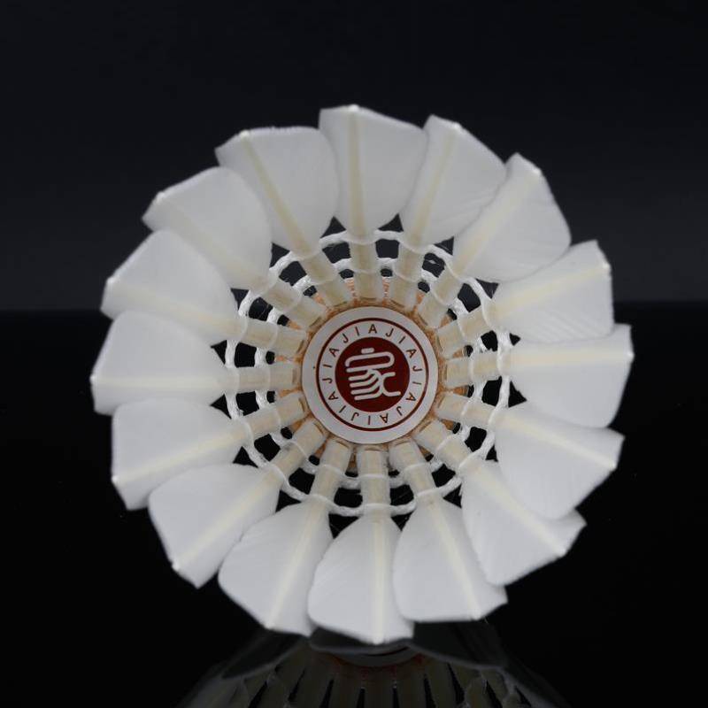 Badminton home and Shengrui duck hair play badminton indoor outdoor training professional game 12