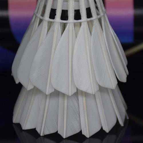 Genuine HIGH5 Badminton Original S6 Patriarch King Stable Training Competition 12 Packales