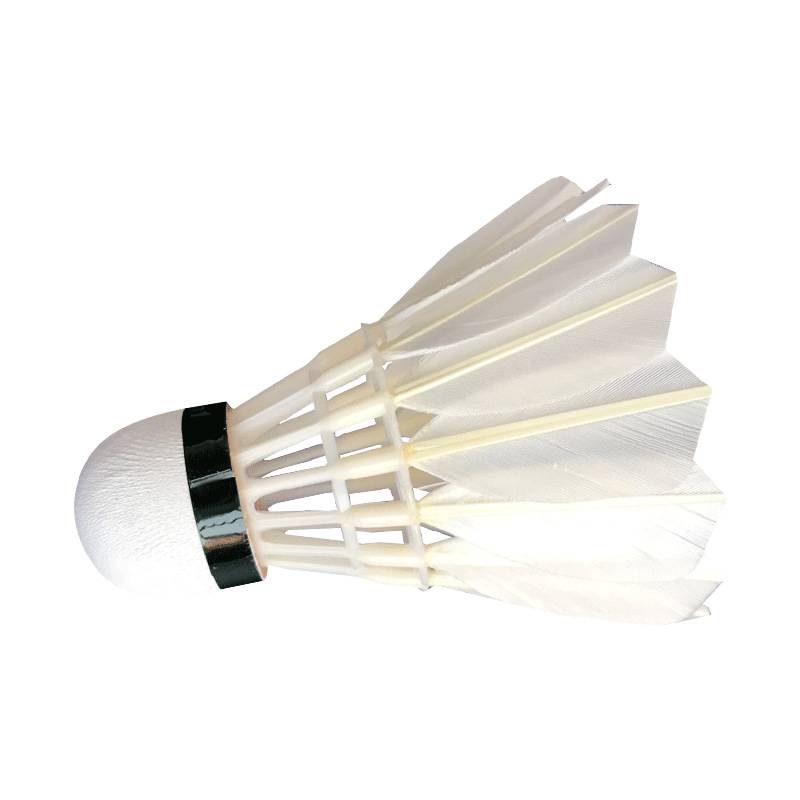 Badminton 12 installations and not easy to break the goose feather indoor outdoor game windproof training 6