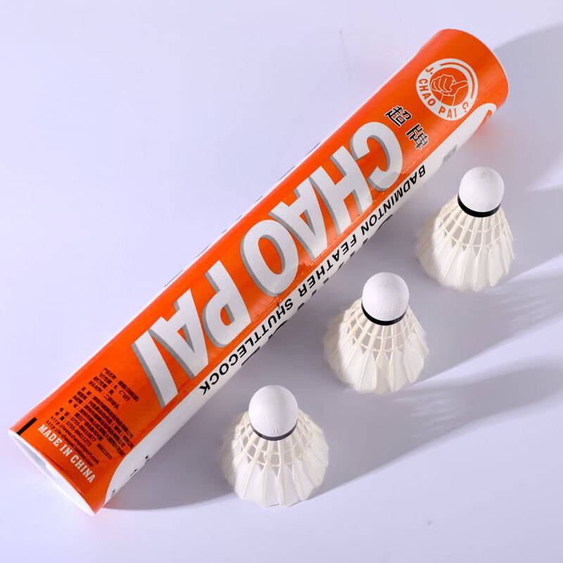 Super badminton 12 for the game training