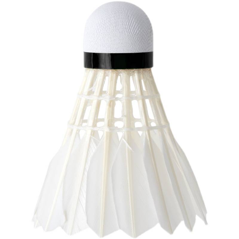 Deli F2200 Badminton 12 Pack to fight against windproof training, authentic duck hair goose hair outdoor competition