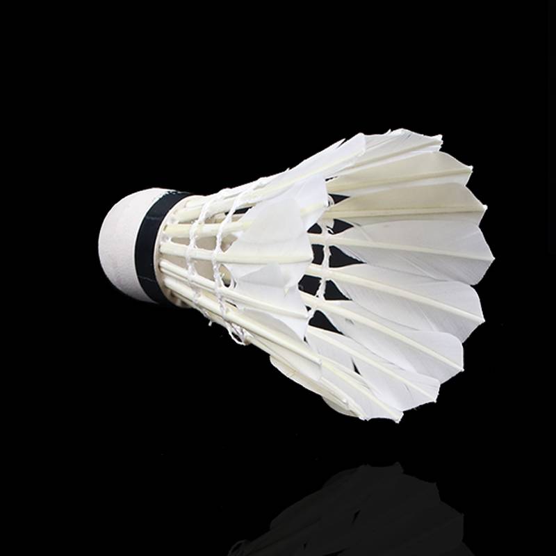 Badminton 3 12 installations and fighting king genuine can not hit the goose feather indoor outdoor windshield training 6