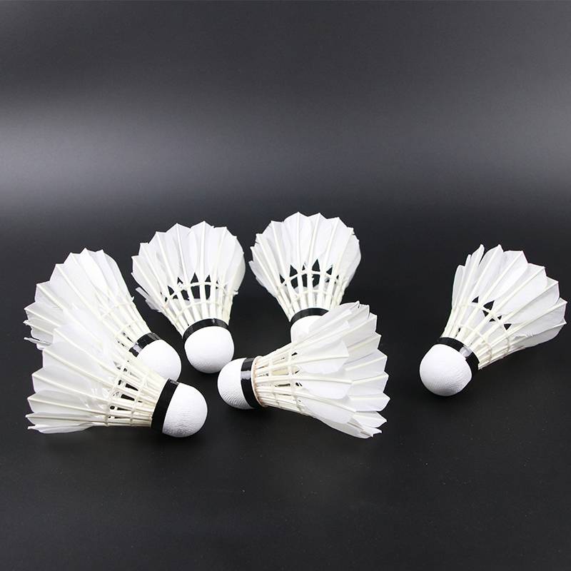 Badminton 3 12 installations and fighting king genuine can not hit the goose feather indoor outdoor windshield training 6