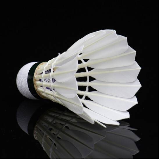 Spot genuine Asian Lion Dragon 10Plus badminton indoor and outdoor RSL10 upgraded version duck hair training