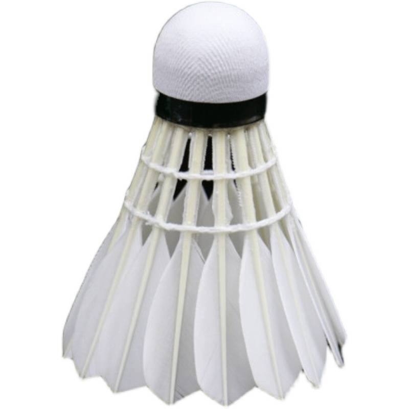 Spot genuine Asian Lion Dragon 10Plus badminton indoor and outdoor RSL10 upgraded version duck hair training
