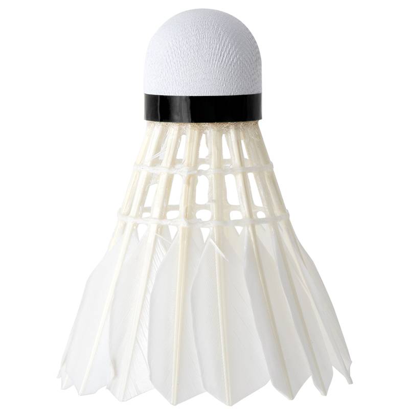 Deel Anginet F2201 Badminton White Goose Hair Badfish Fiber Ball (6/Tube)