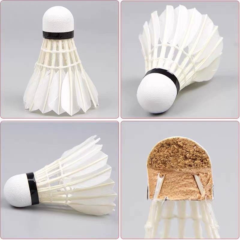 Primary Entertainment Training Badminton 3 6 Only 12 Factory Direct Factory Direct Bad Badminton Indoor Outdoor Outside