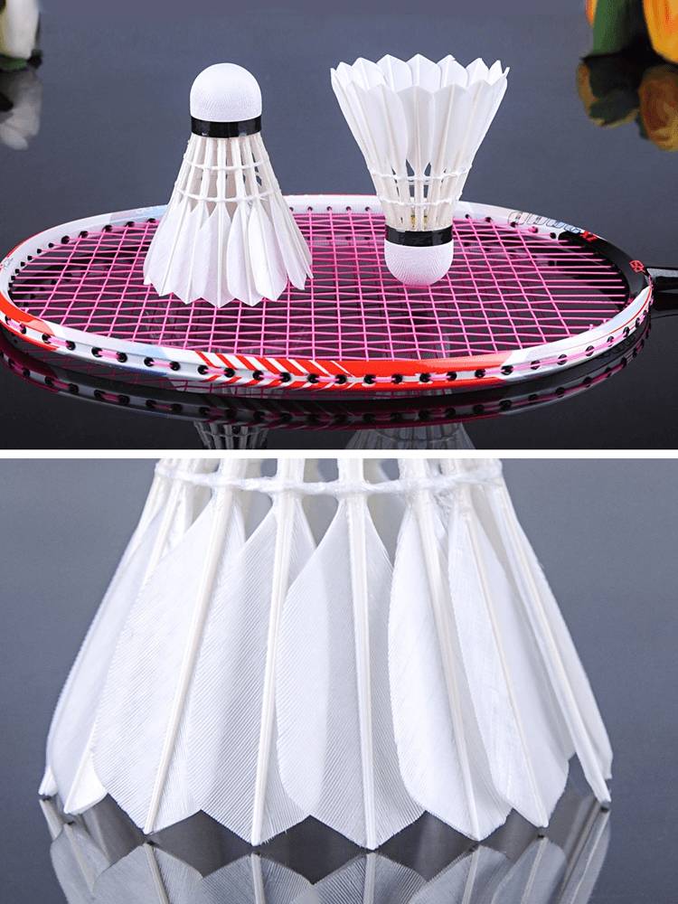 RSL/Asian Lion No. 5 badminton daily training stable and hit No. 5 goal 77 -speed accurate stability and fighting major