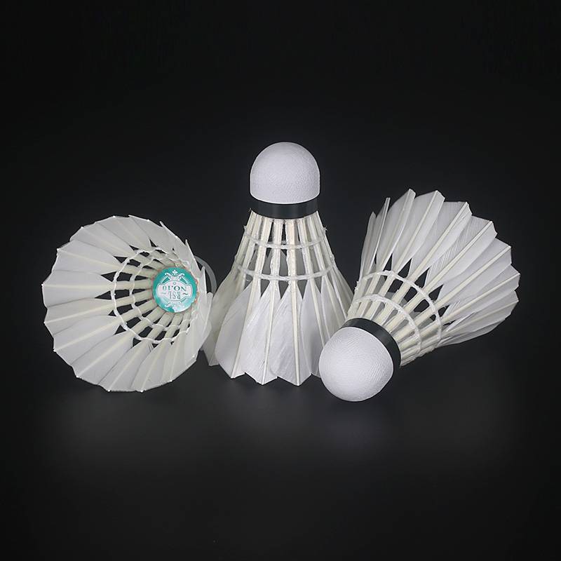 RSL Ya Shilong No. 10 Ball Flying Flying Stable Insole and OutLook Amateur Trading Balls
