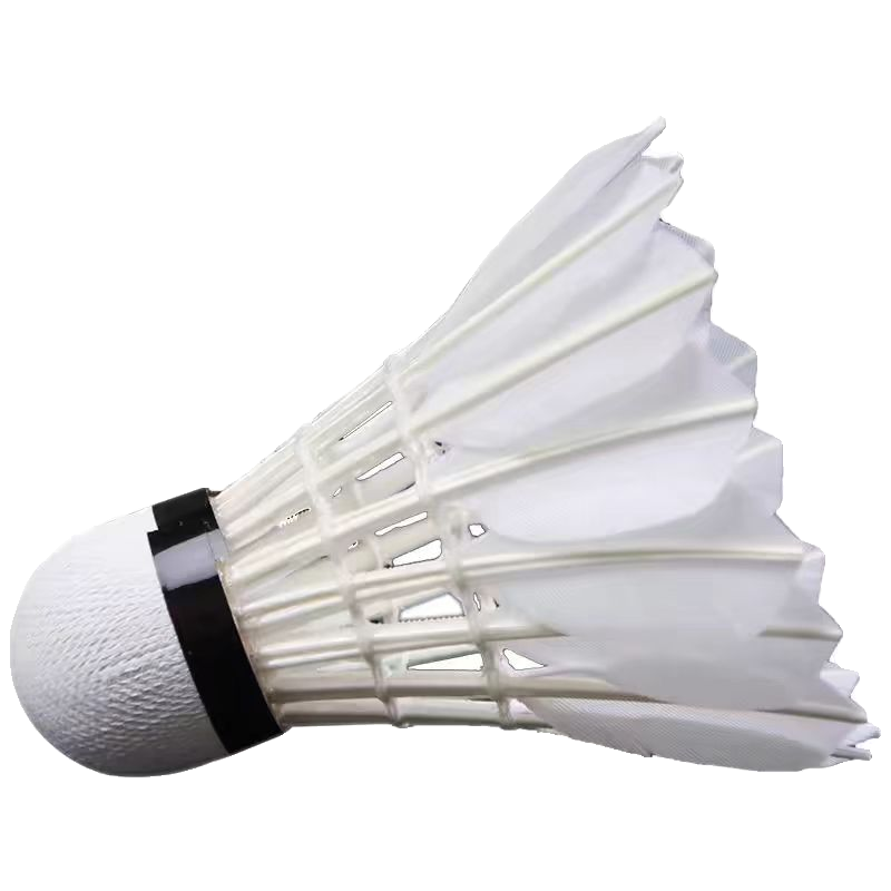 Badminton playing goose feathers.