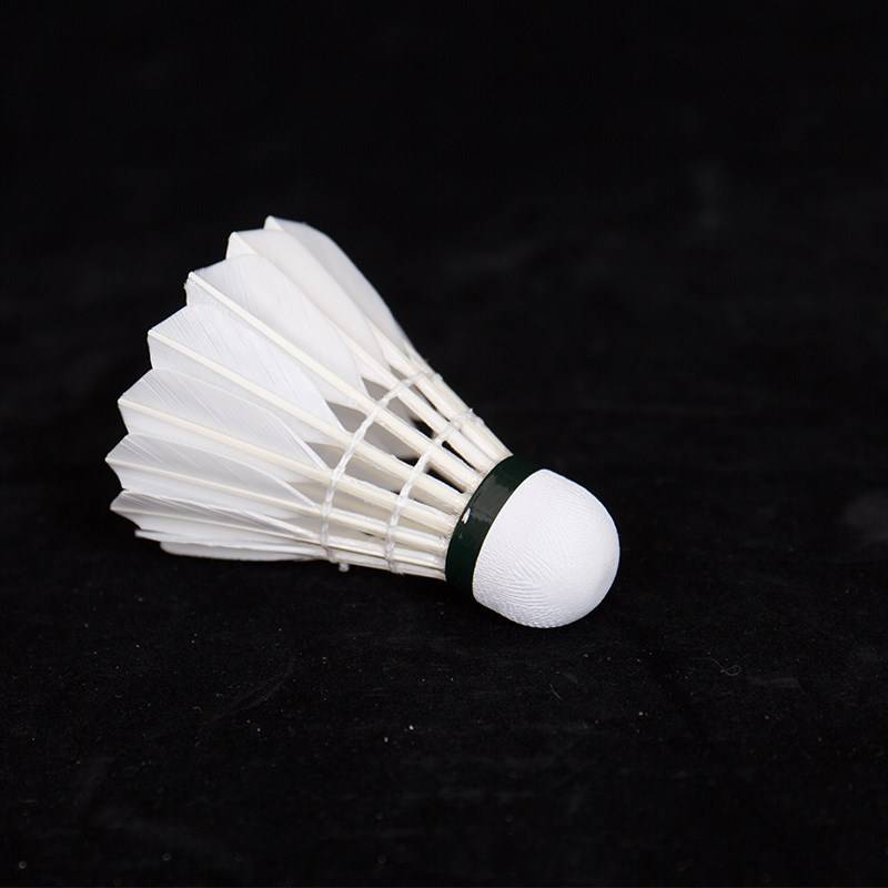 Resistance +5 badminton, G new flight H hit