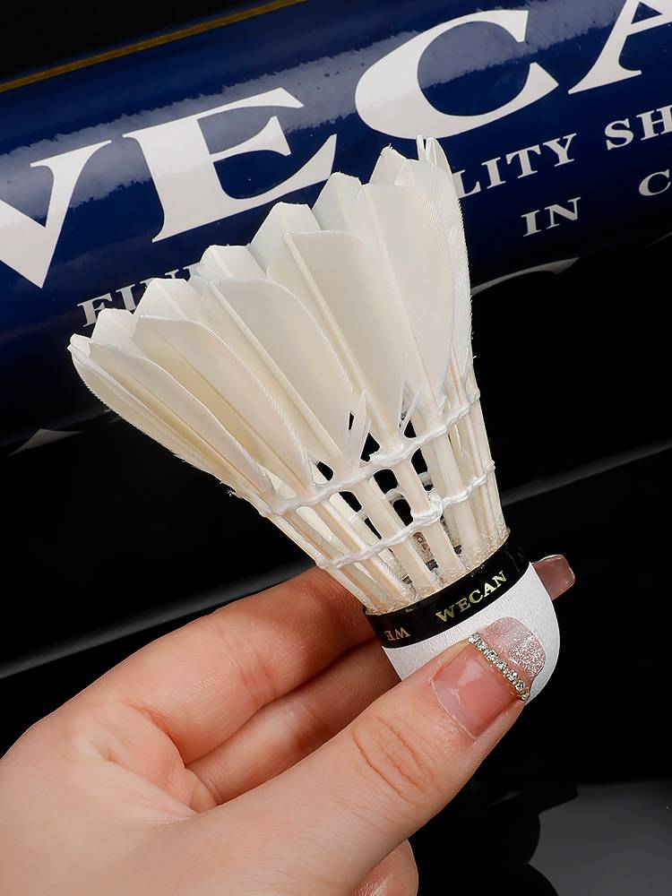 Genuine Deep Blue Welfare Badminton Badminton Flying Flying Flying Stable Goose Fool Bar Museum professional training competition 12 installation