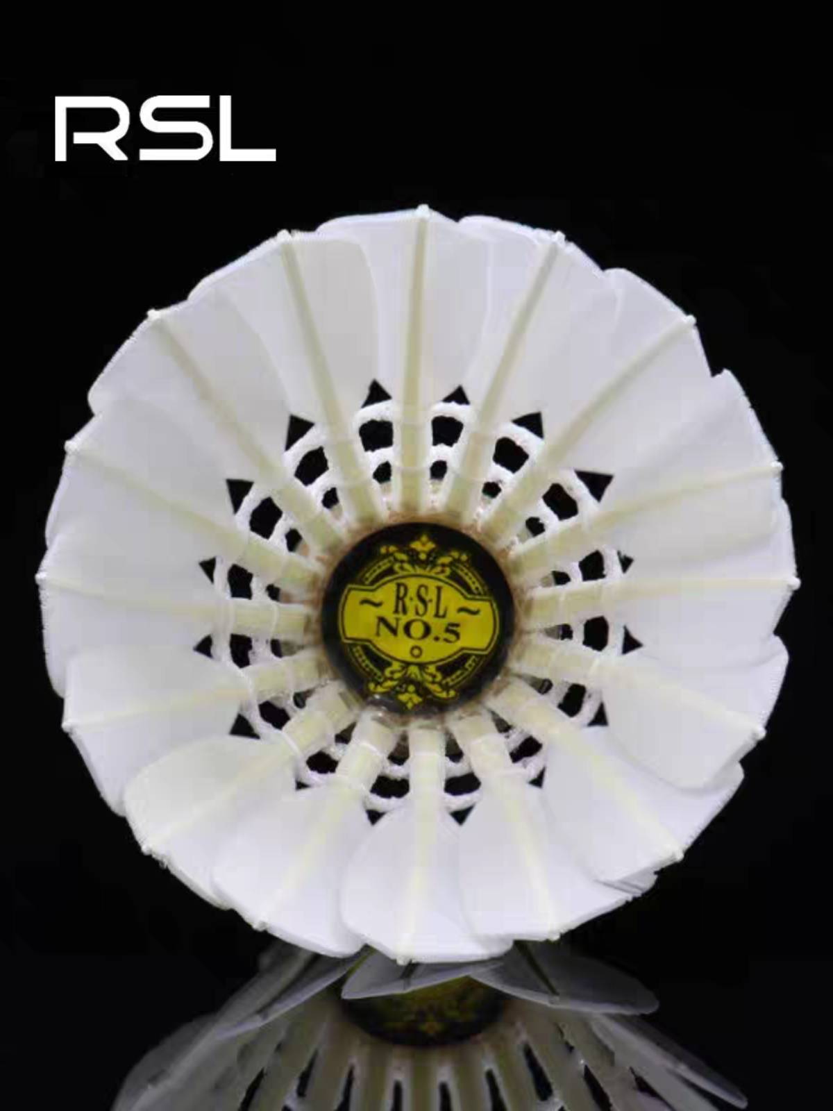 Ya Shilong RSL5 badminton 77/76 official genuine professional competition training and stable economy 12
