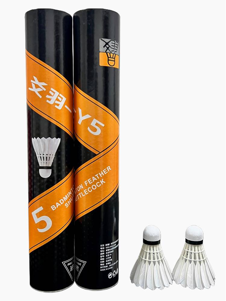 Badminton geenuine