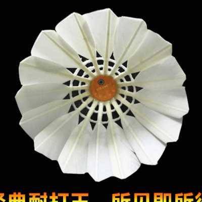 Badminton goose feathers, king king, Belipu, can not play badly, No. 1 training ball flight stable 12 outfits