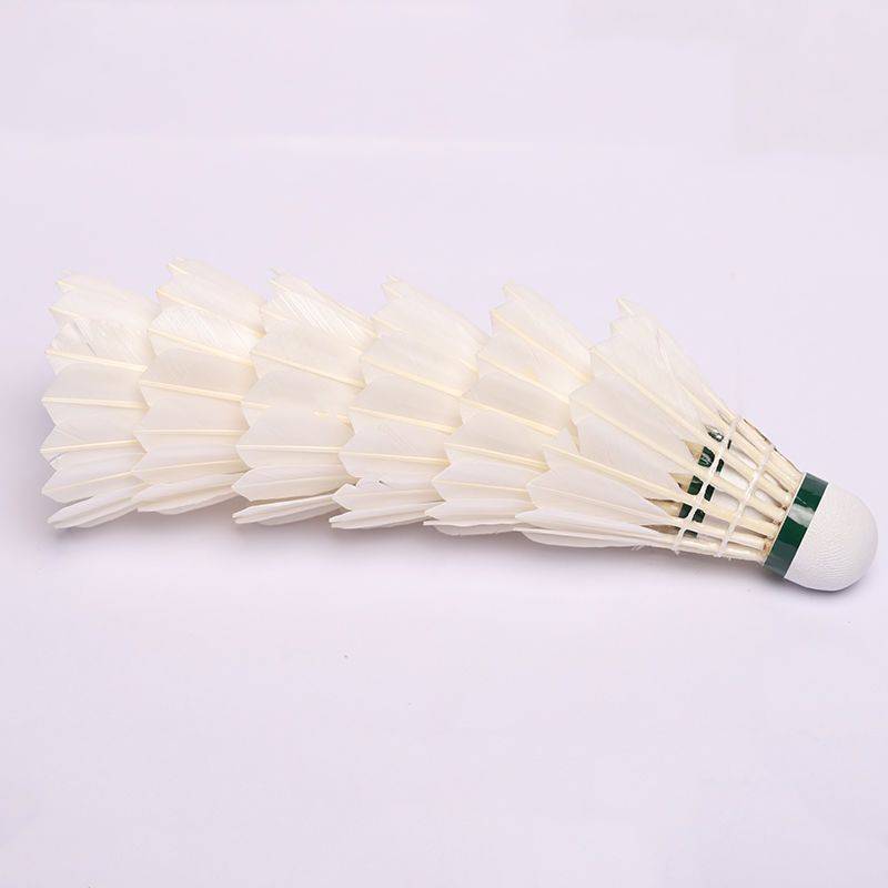 Primary Entertainment Training Badminton 3 6 Only 12 Factory Direct Factory Direct Bad Badminton Indoor Outdoor Outside